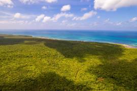 Development Land (Residential) for Sale Clarendon,