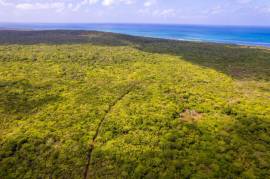 Development Land (Residential) for Sale Clarendon,