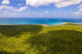 Development Land (Residential) for Sale Clarendon,