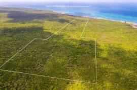 Development Land (Residential) for Sale Clarendon,