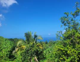 House for Sale Portland, Hope Bay