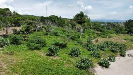 Residential Lot for Sale St. Elizabeth, Treasure B