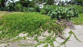 Residential Lot for Sale St. Elizabeth, Treasure B