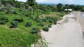 Residential Lot for Sale St. Elizabeth, Treasure B