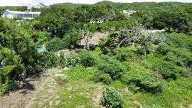 Residential Lot for Sale St. Elizabeth, Treasure B