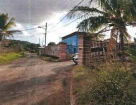 House for Private Treaty St. Elizabeth, Junction