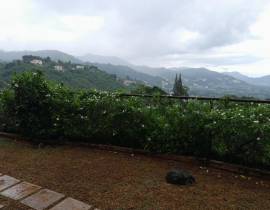 Resort Apartment/Villa for Sale Kingston & St. And