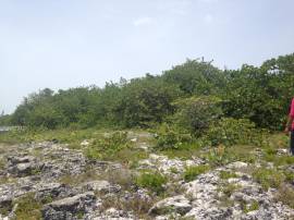 Development Land (Residential) for Sale Westmorela