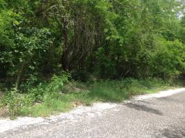 Development Land (Residential) for Sale Westmorela