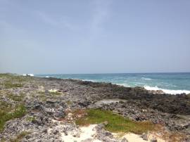 Development Land (Residential) for Sale Westmorela