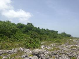 Development Land (Residential) for Sale Westmorela