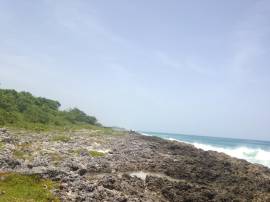 Development Land (Residential) for Sale Westmorela