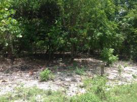 Development Land (Residential) for Sale Westmorela