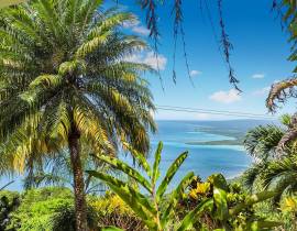 House for Sale Westmoreland, Cave Mountain