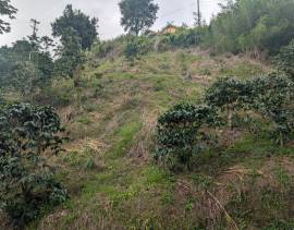 Development Land (Residential) for Sale Kingston &