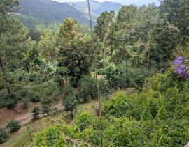 Development Land (Residential) for Sale Kingston &