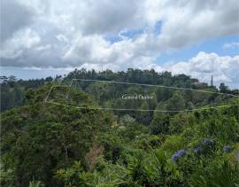 Development Land (Residential) for Sale Kingston &