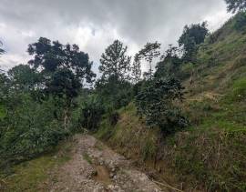 Development Land (Residential) for Sale Kingston &