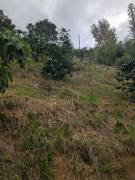 Development Land (Residential) for Sale Kingston &