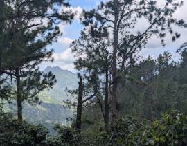 Development Land (Residential) for Sale Kingston &