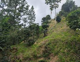 Development Land (Residential) for Sale Kingston &