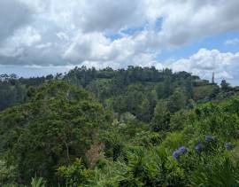 Development Land (Residential) for Sale Kingston &