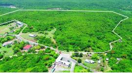 Development Land (Residential) for Sale Clarendon,