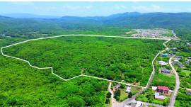 Development Land (Residential) for Sale Clarendon,