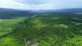 Development Land (Residential) for Sale Clarendon,