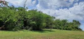 Development Land (Residential) for Sale Clarendon,