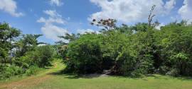 Development Land (Residential) for Sale Clarendon,