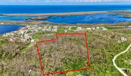 Development Land (Residential) for Sale Trelawny, 