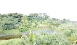 Development Land (Residential) for Sale Westmorela