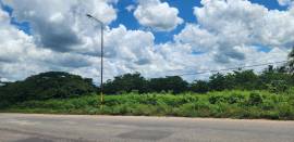 Development Land (Residential) for Sale Clarendon,
