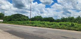 Development Land (Residential) for Sale Clarendon,