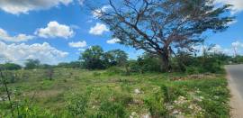 Development Land (Residential) for Sale Clarendon,
