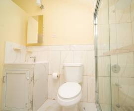 House for Rent Trelawny, Falmouth