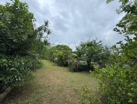 House for Sale Kingston & St. Andrew, Kingston 19