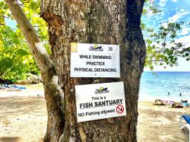 Townhouse for Sale Westmoreland, Negril