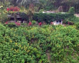 House for Sale St. Mary, Rio Nuevo