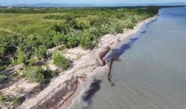 Development Land (Residential) for Sale Westmorela