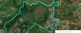 Farm/Agriculture for Sale Westmoreland, Bigwoods