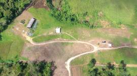 Farm/Agriculture for Sale Westmoreland, Bigwoods
