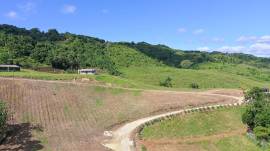 Farm/Agriculture for Sale Westmoreland, Bigwoods