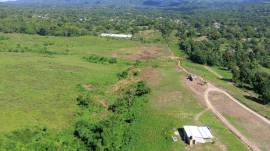 Farm/Agriculture for Sale Westmoreland, Bigwoods