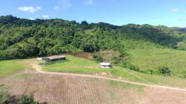 Farm/Agriculture for Sale Westmoreland, Bigwoods