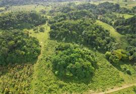 Development Land (Residential) for Sale Westmorela