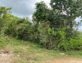 Residential Lot for Sale Kingston & St. Andrew, Re