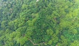 Development Land (Residential) for Sale Kingston &