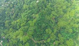 Development Land (Residential) for Sale Kingston &